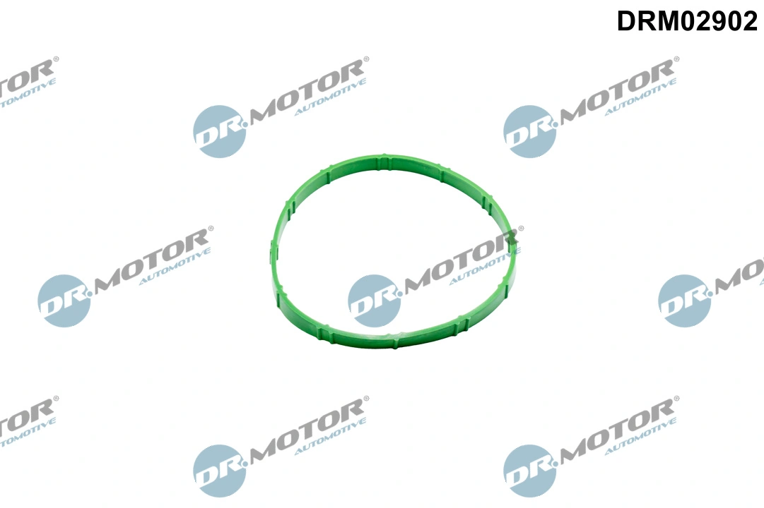 Gasket, throttle body
